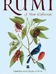 rumi