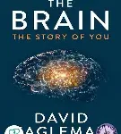 the brain