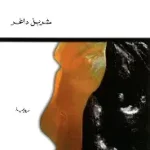 بدل عن ضائع
